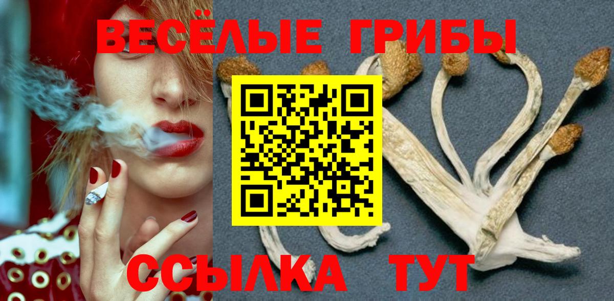 Псилоцибиновые грибы Magic Shrooms Нефтеюганск