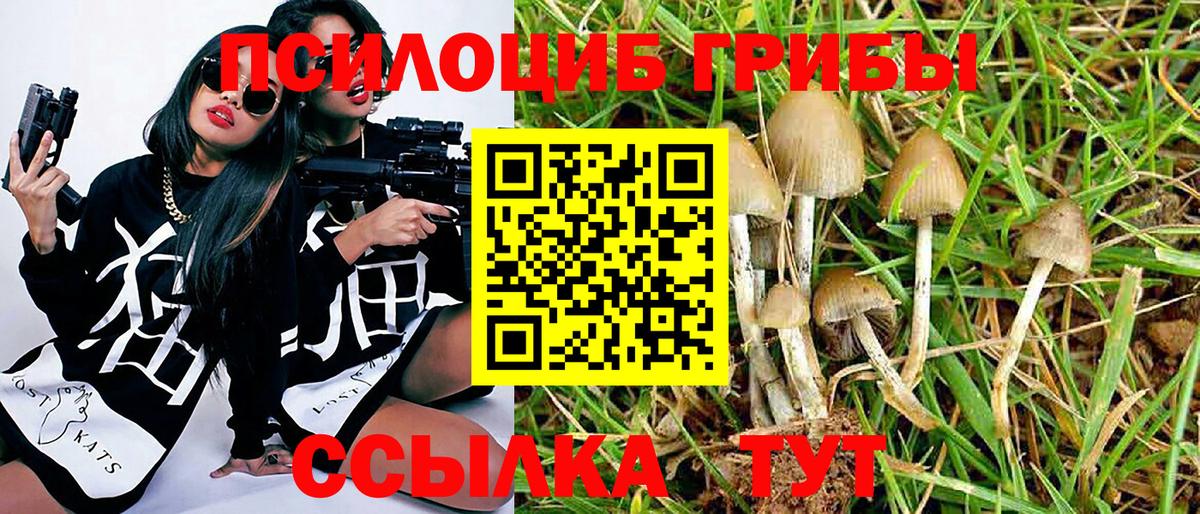 Нефтеюганск  Галлюциногенные грибы Magic Shrooms  Псилоцибиновые грибы мухоморы  Вход с VPN 